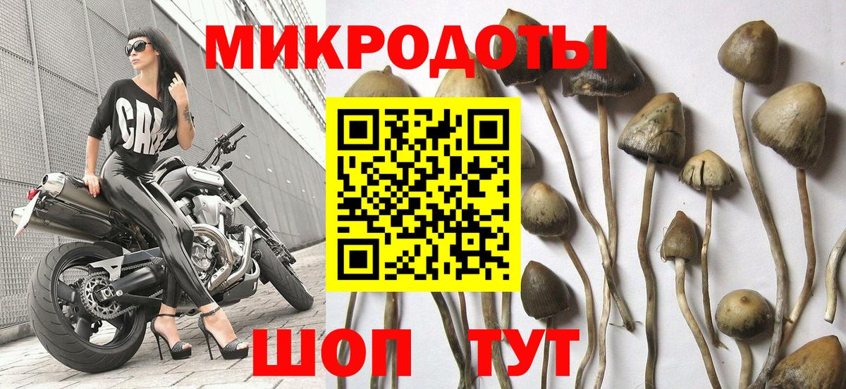Псилоцибиновые грибы GOLDEN TEACHER  Вход с VPN  Азнакаево  Псилоцибиновые грибы GOLDEN TEACHER 